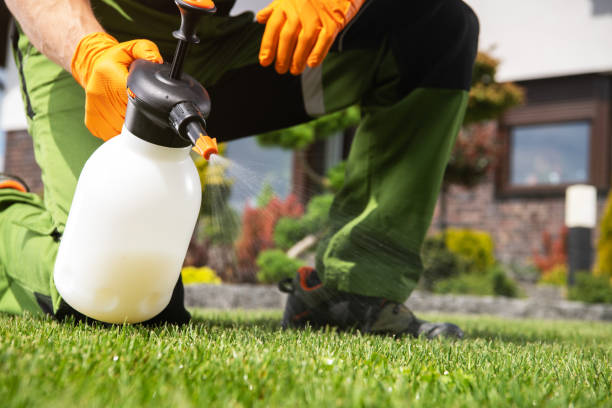 Best Affordable Pest Control Services  in Terre Haute, IN