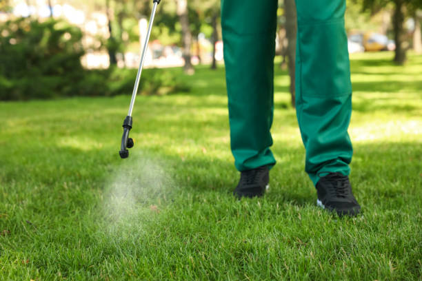 Best Pest Inspection Near Me  in Terre Haute, IN