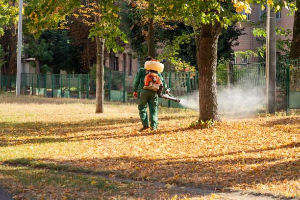 Best Exterminator Services  in Terre Haute, IN