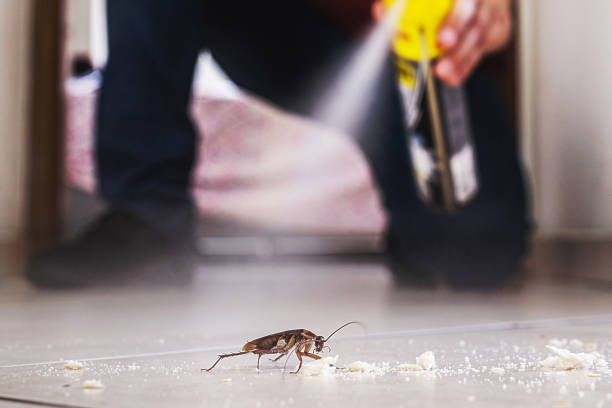 Best Best Pest Control Companies  in Terre Haute, IN
